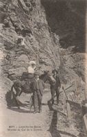 loueche les bains montée du col de la gemmi animata cavallo
