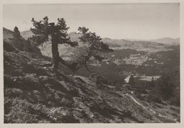 0066 - Postkarte / Ansichtskarte - Arosa
