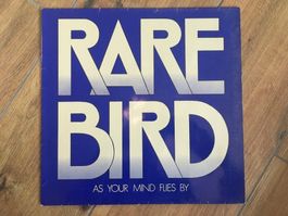Rare Bird – As Your Mind Flies By
