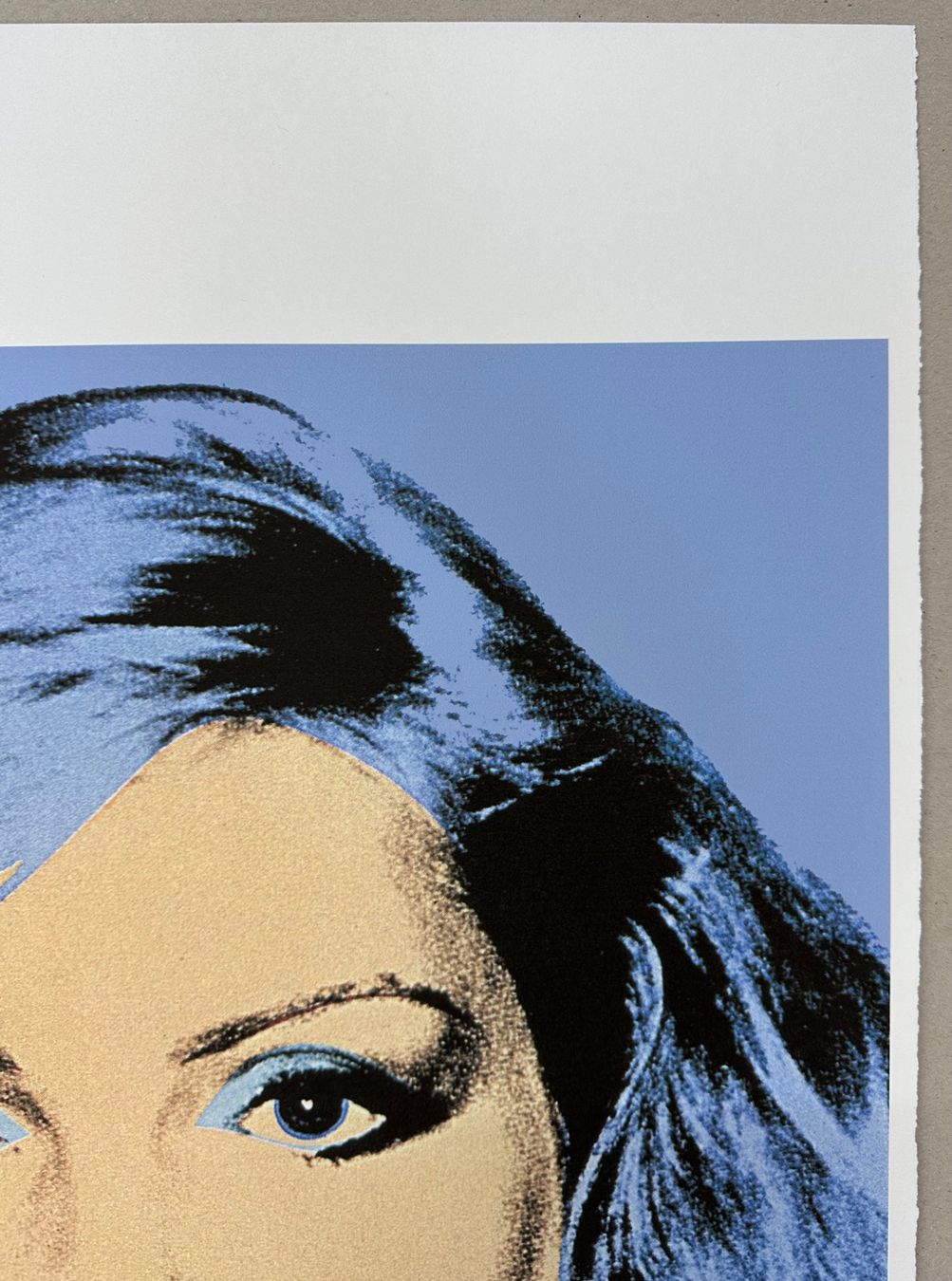 Dipinti: Warhol: Debbie Harry, POP Art 12/100 – Nuovo (secondo la descrizione) da Meilen venduto da Smgdesign 4