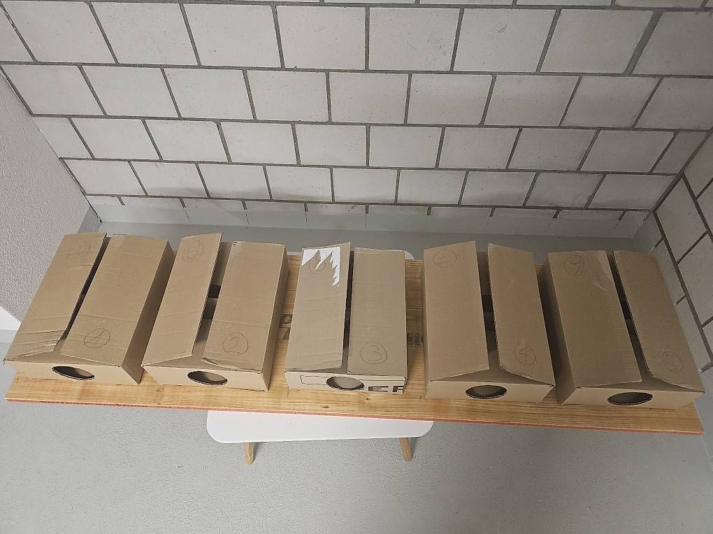 Giochi: Boxen des Grauens Spiel – Usato da Münchenbuchsee venduto da Bussistyle 2