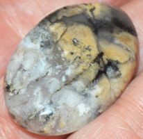 Cabochon L-507 – 1 Stück Tiger Dendrit – 35x24x3mm