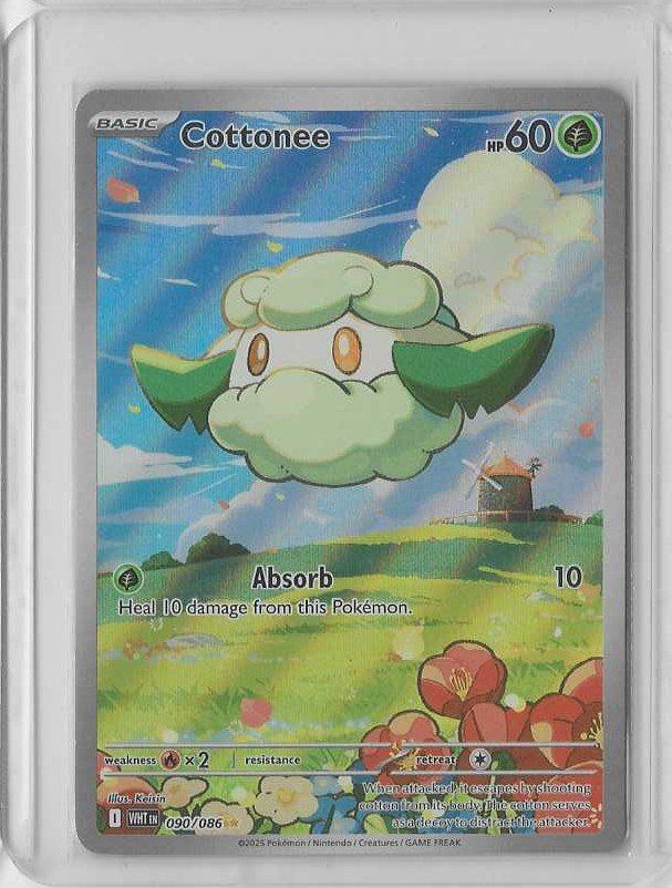 Pokémon Carte collezionabili: Pokémon - Cottonee 090 EN – Nuovo (secondo la descrizione) da Steffisburg venduto da Pat_Stoll