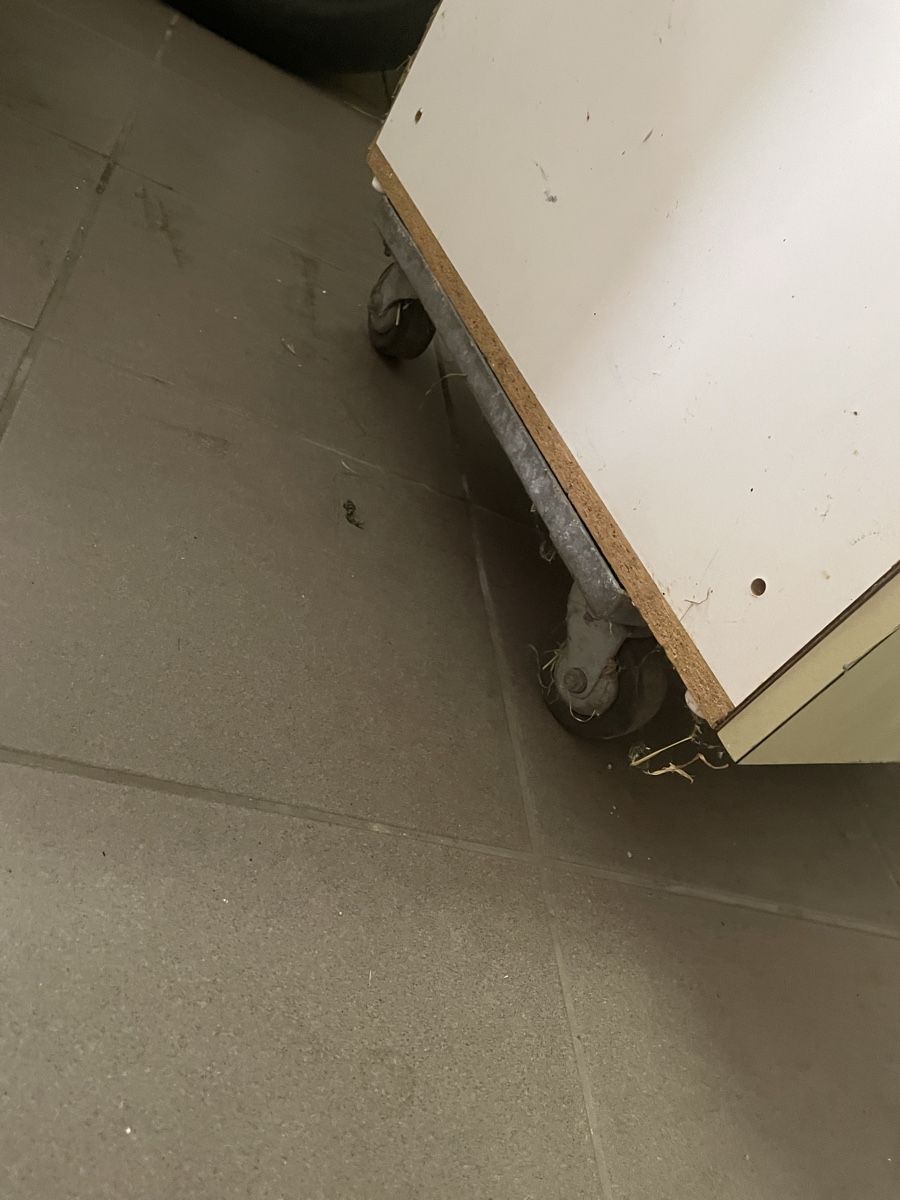 Armoires: Werkstattmöbel 2x – D'occasion à Felben-Wellhausen par pisa08 5