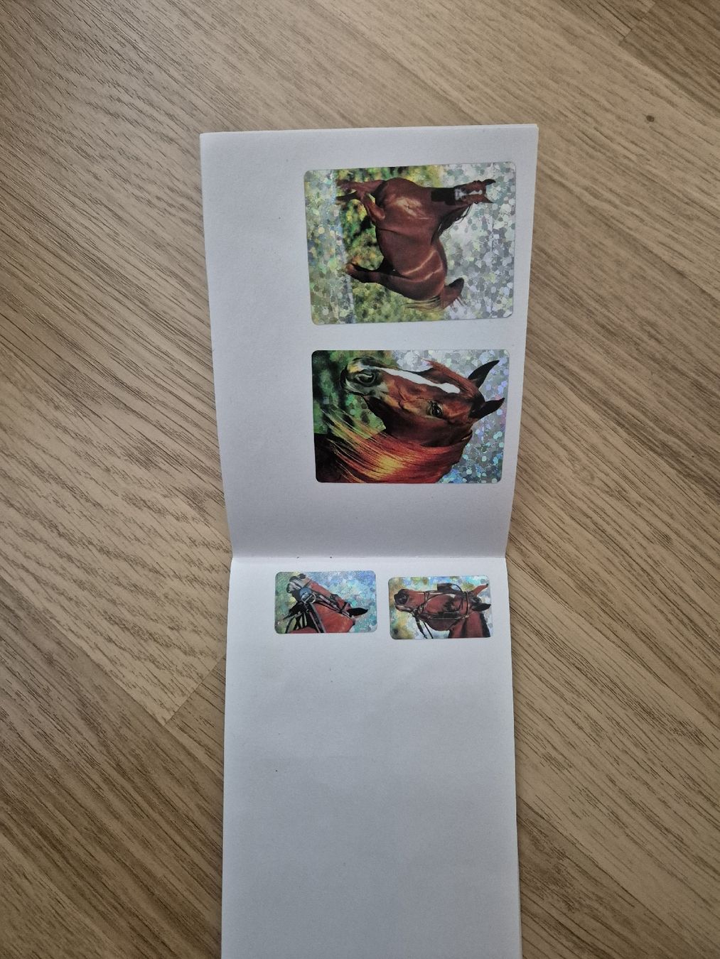 Album: My Sticker Album Pferde – Usato da Langenthal venduto da Polarisstern 4