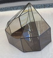 Geometrisches Terrarium Glas Handarbeit Kakteen Pflanzen