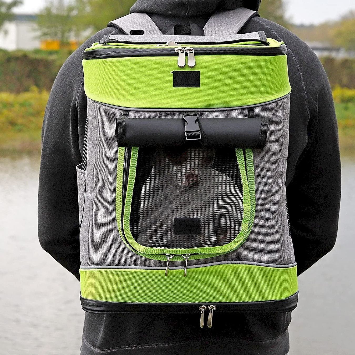 Gabbie, trasporto & Sicurezza: Haustierrucksack faltbare grau/grün – Nuovo e nell'imballaggio originale da Bottighofen venduto da zaap 1
