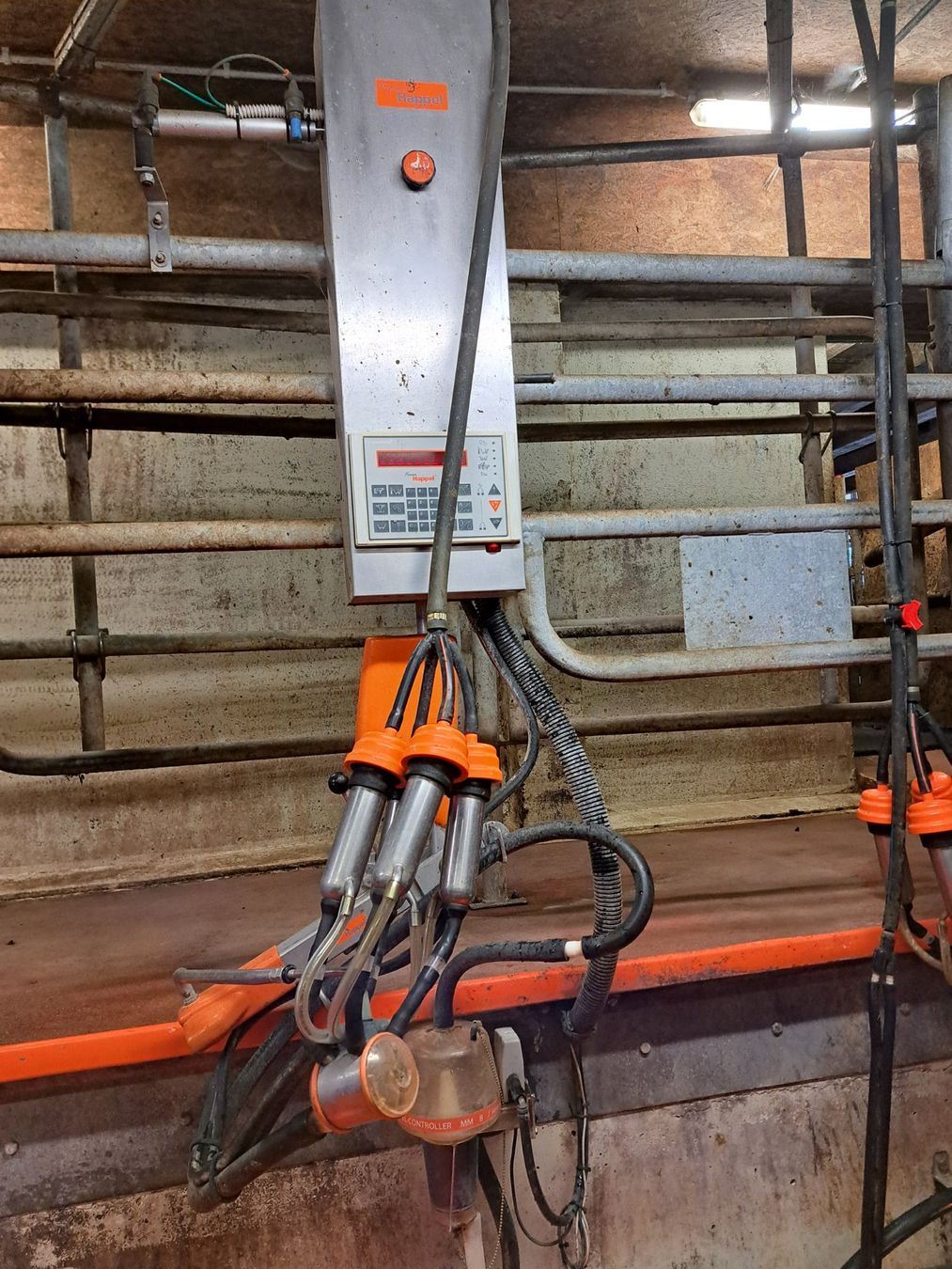 Toutes les machines: Melkstand Happel Robotex – D'occasion à Wolhusen par zeswo 2