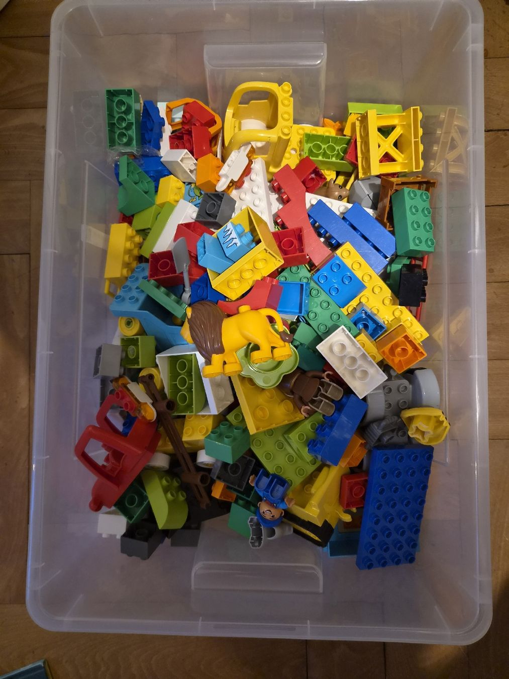 Lego Giocattoli: Lego Duplo (45l Box) – Usato da Zürich venduto da Schnaeppchen25