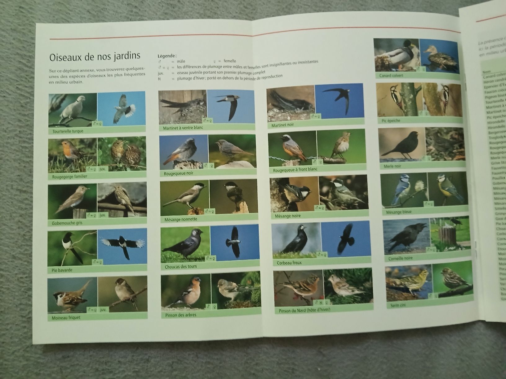 Libri: Livre "Oiseaux de nos jardins" – Usato da Le Sentier venduto da arc_2thy 4