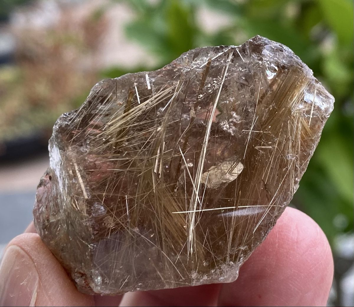 Minerali & Pietre curative: Schönes Stück Goldrutil  – Usato da Selzach venduto da 321compac