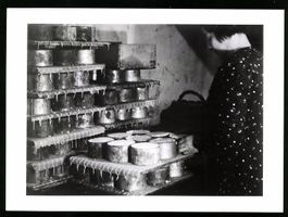 Fotografie Affaires Culturelles, franz