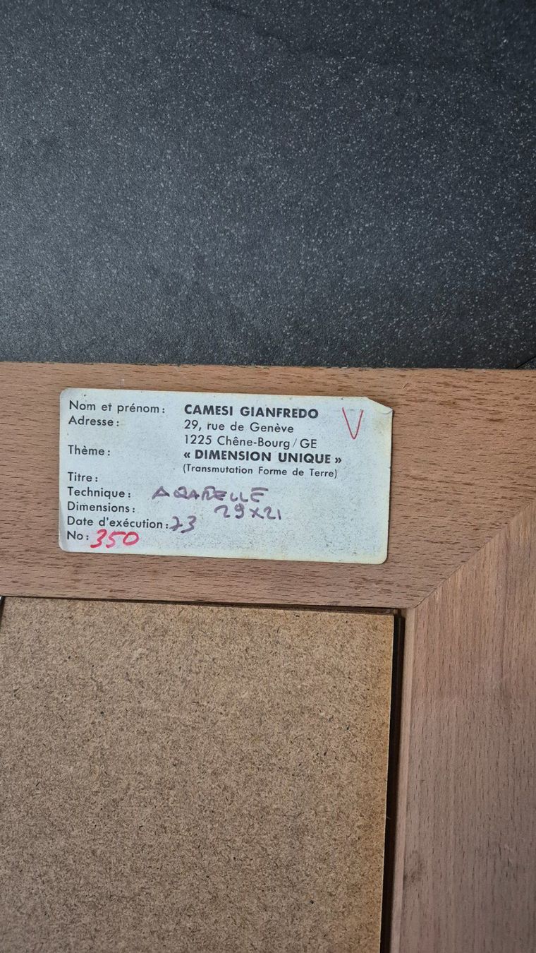 Dipinti: Camesi Gianfredo Bild "DIMENSION UNIQUE" mit Holzrahmen – Usato da Lömmenschwil venduto da wla750 2
