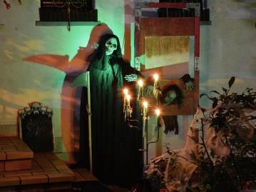 Piante e fiori finti: Halloween Spinnennetz weiß 50g – Nuovo e nell'imballaggio originale da Däniken SO venduto da Profog1 2