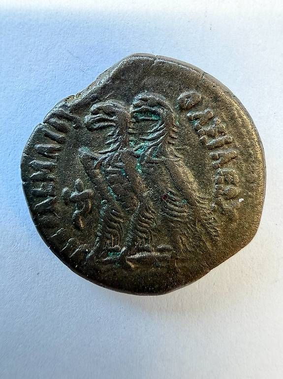Tutti le monete: Obole Ptolémée VI Égypte  TTB  Patine marron – Usato da Sion venduto da 15ramses 1