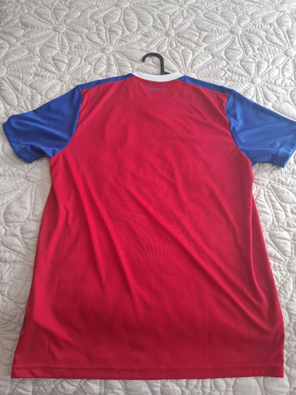 Canottiere & Pantaloni: Fc Basel/125 Jahr Trikot – Usato da Rickenbach Sulz venduto da Gugsi96 2