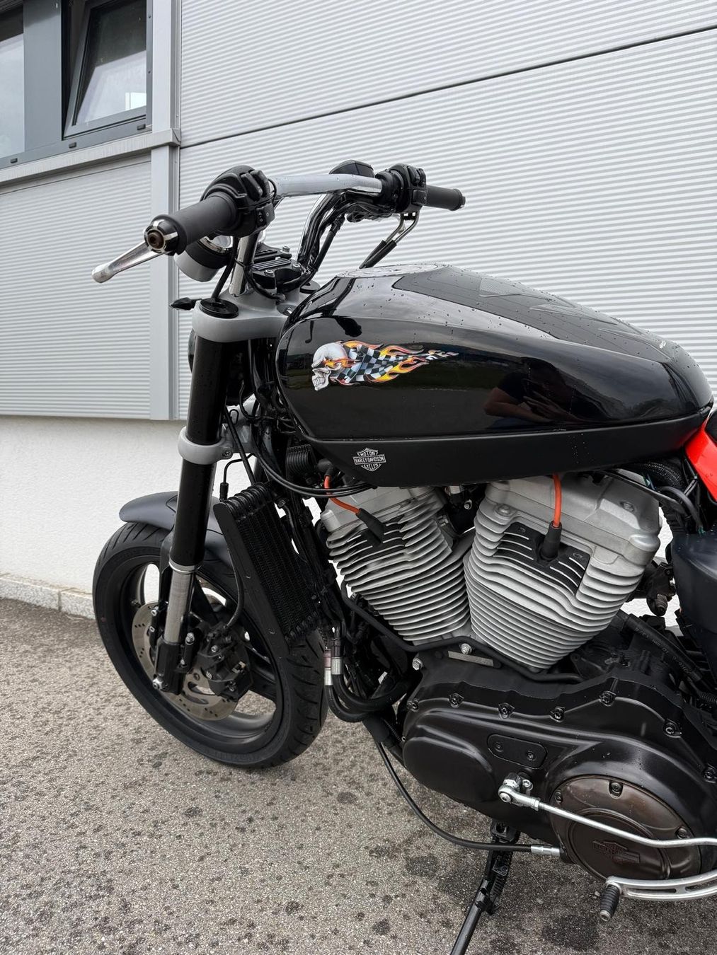 Harley-Davidson Strada: Harley Davidson XR 1200 – Usato da Morschach venduto da BioMueller 3