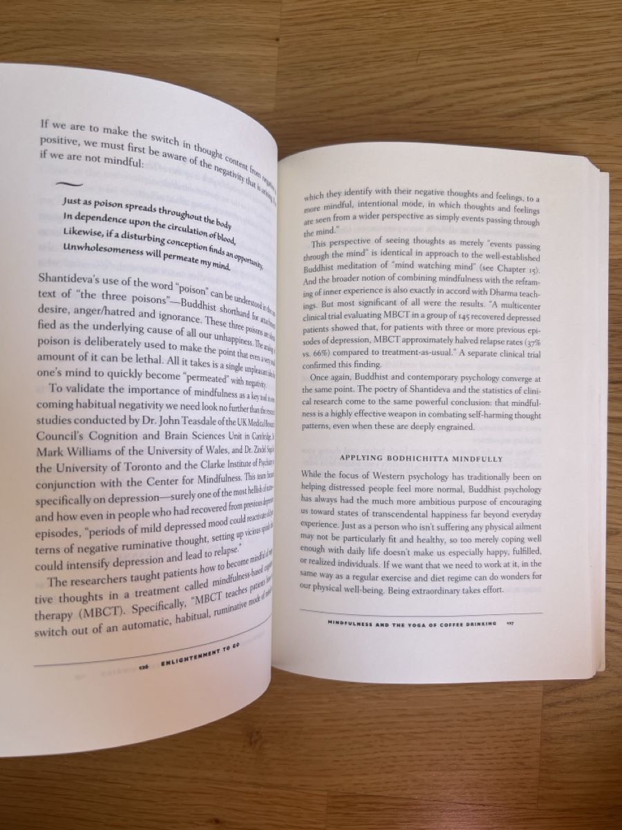 Libri: Enlightenment To Go, David Michie – Usato da Basel venduto da clembou 2
