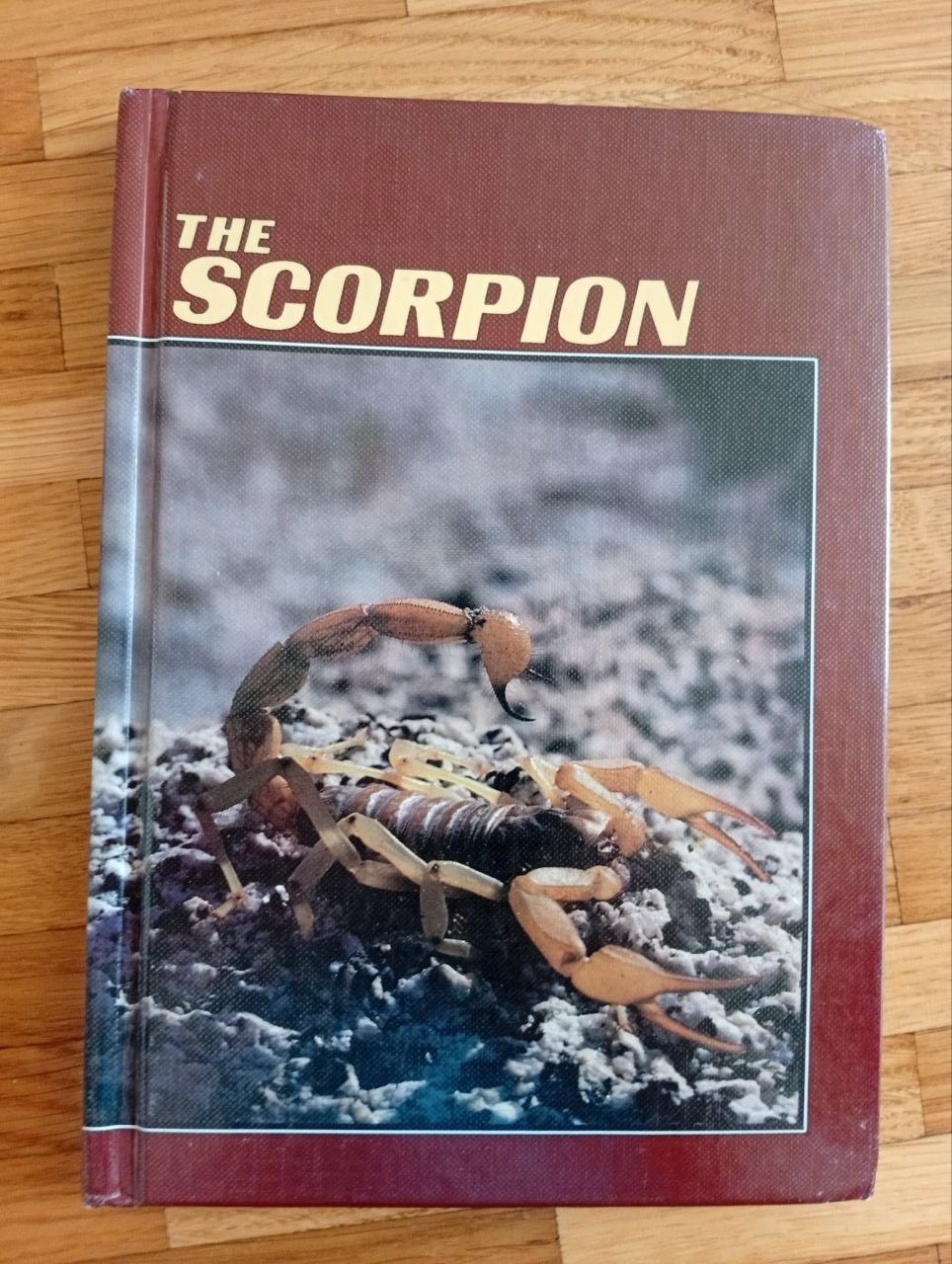 Libri: The Scorpion – Usato da Gland venduto da M_marc