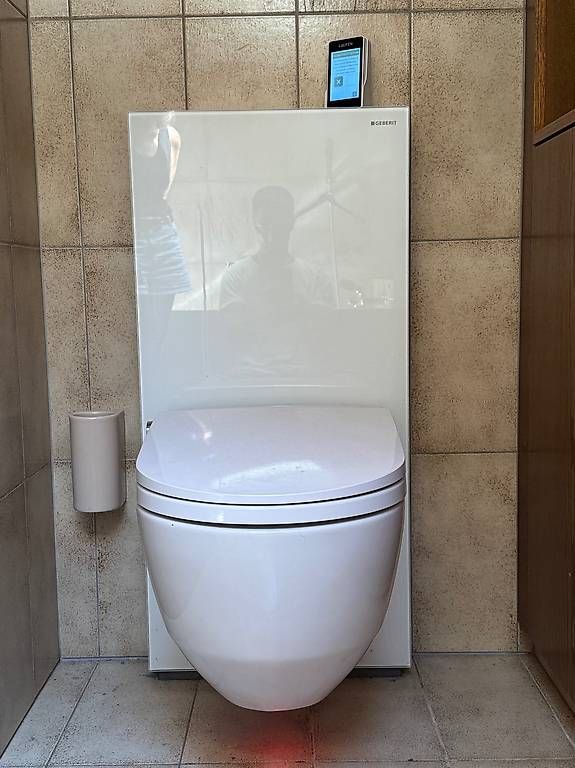 Laufen WC: LAUFEN Cleanet Riva, Dusch WC – Usato da Appenzell venduto da mj198023