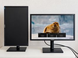 Business-Monitor Samsung S24E450 | 23.6"