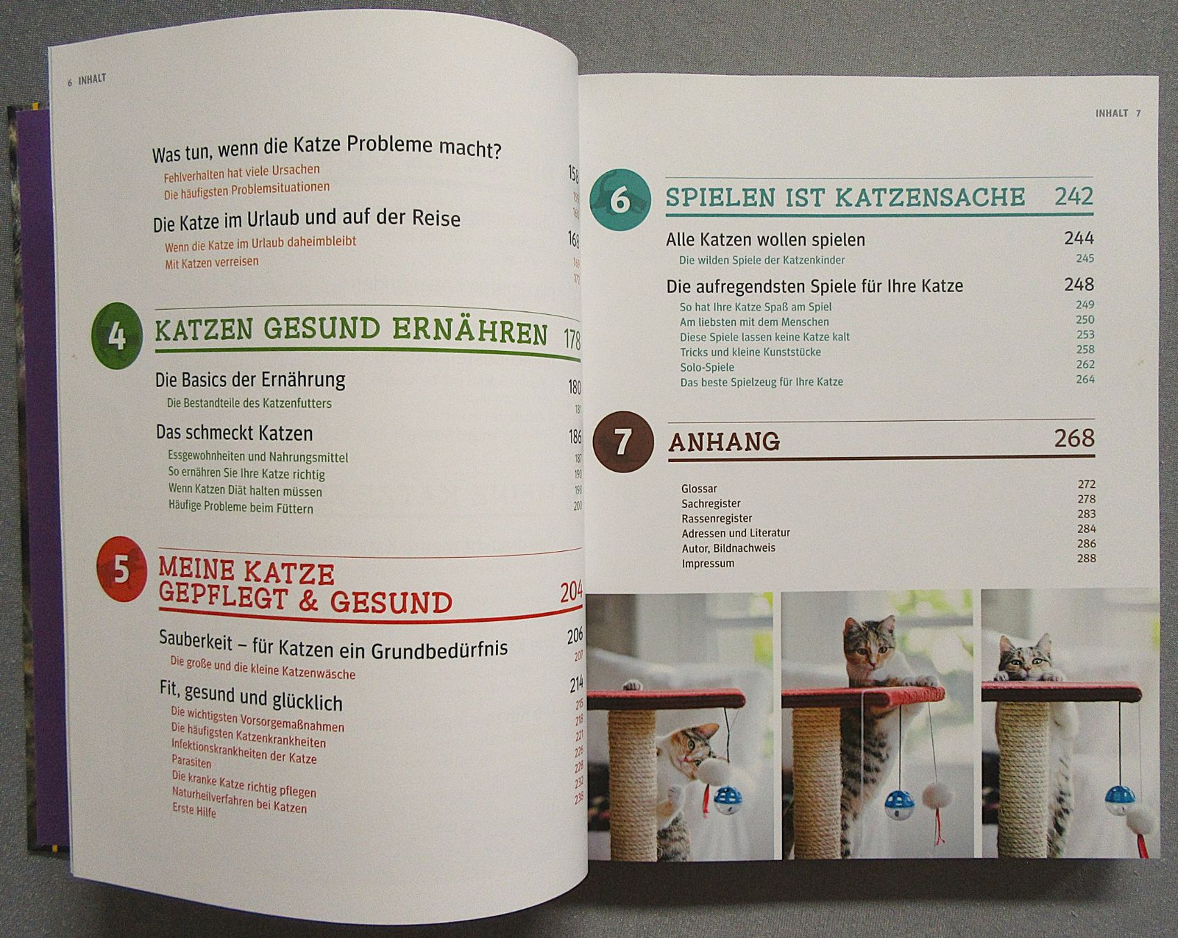 Bücher: Katzen - Das grosse Praxishandbuch - GU – Gebraucht aus Auenstein von Padabimbim 3