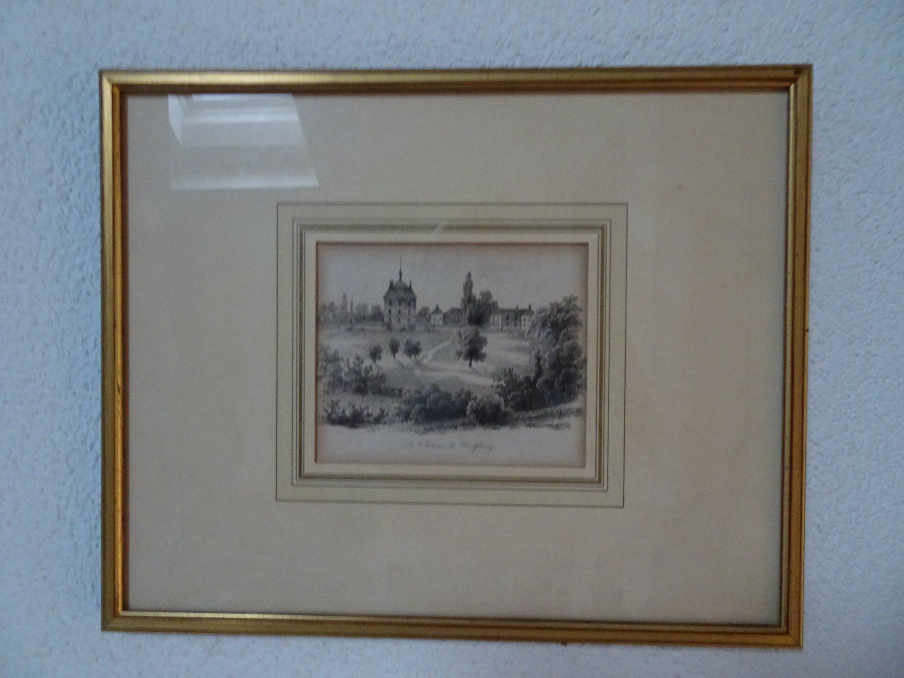 Incisioni: Stich "Schloss Wolfsberg" – Usato da Matzingen venduto da carola71