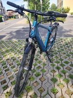 Allegro Explorer Ebike mit ca 600 km