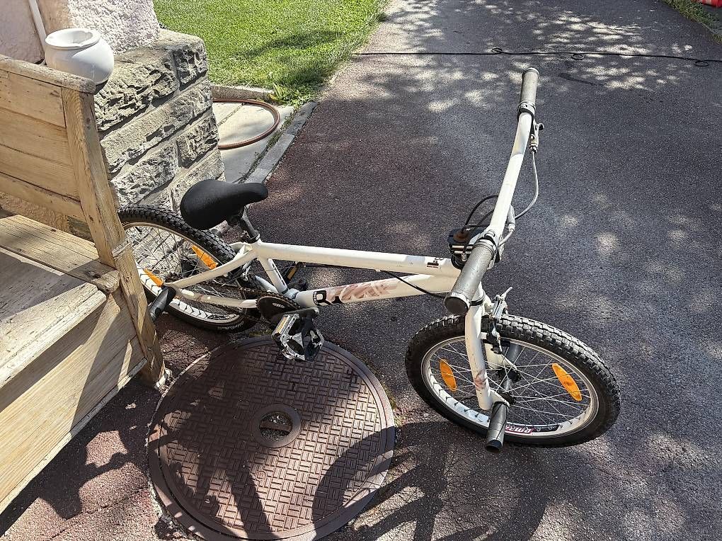 Biciclette: BMX freestyle UMF – Usato da Martigny venduto da gerarth 3