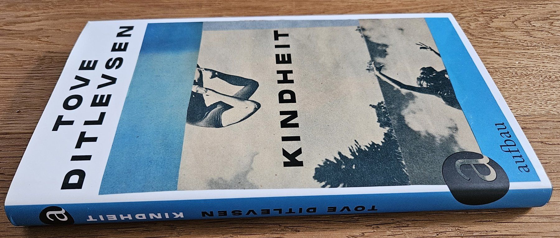 Libri: Tove Ditlevsen: Kindheit – Usato da Schaffhausen venduto da asyouwestley 1
