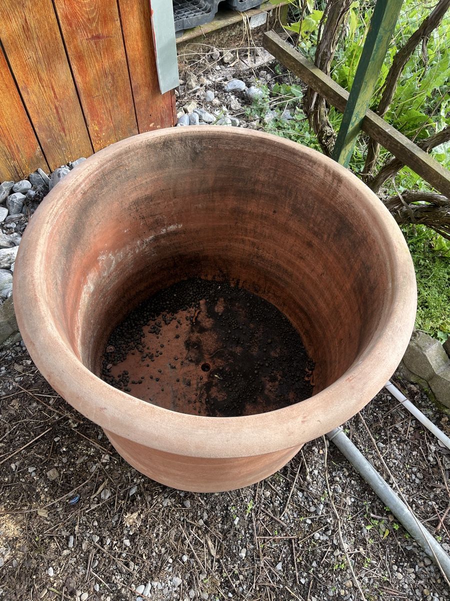 Vasi per fiori: Grosser Terrakotta Topf, Gartentopf – Usato da Altstätten SG venduto da Gogggi 2