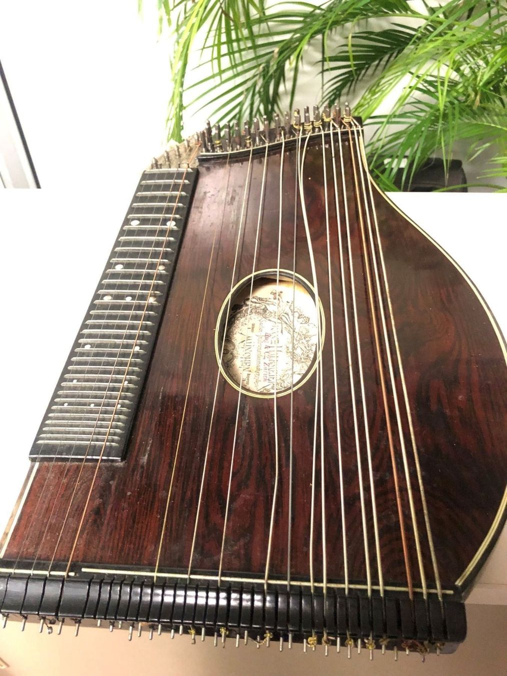 Strumenti musicali: Zither in Originalkoffer ! – Usato da Brügg BE venduto da doppelsalchow 4