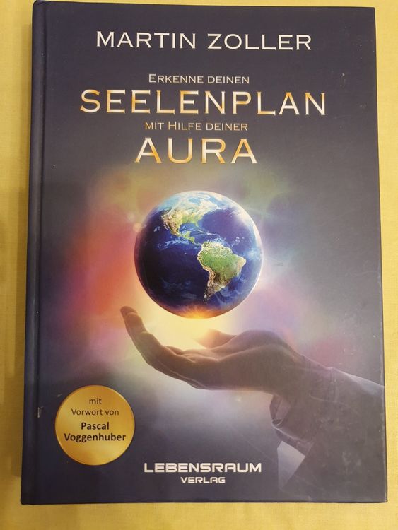 Seelenplan von Martin Zoller | Kaufen auf Ricardo