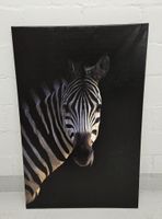 Zebra Leinwandbild schwarz weiss Deko Afrika Tierbild gross