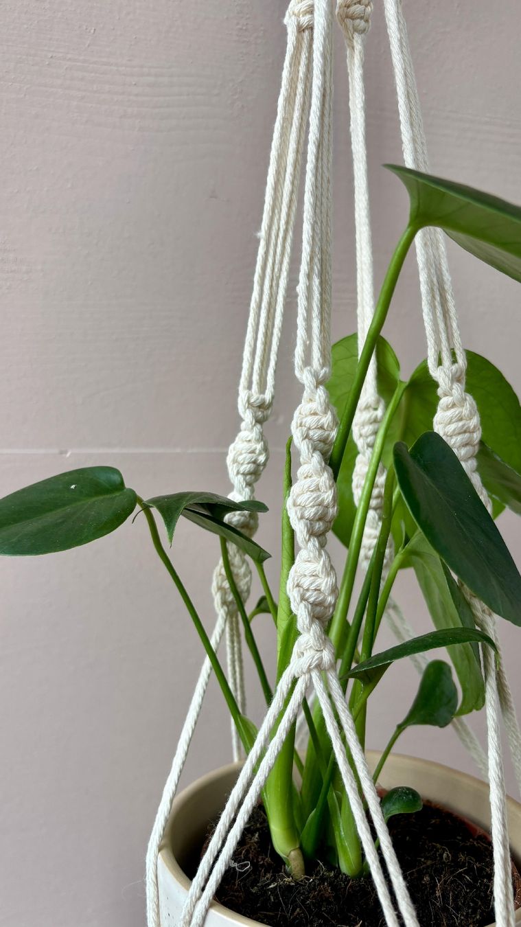 Tutte le decorazioni: Makramee Pflanzenhänger Blumenampel – Nuovo e nell'imballaggio originale da St. Gallen venduto da vi_fi 2
