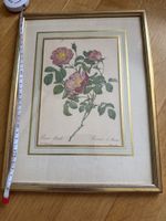 Rosa Damascena - Romantisches Bild mit Goldrahmen🖼️