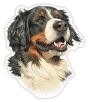 Auto Aufkleber 305 – Berner Sennenhund - 7 x 8 cm