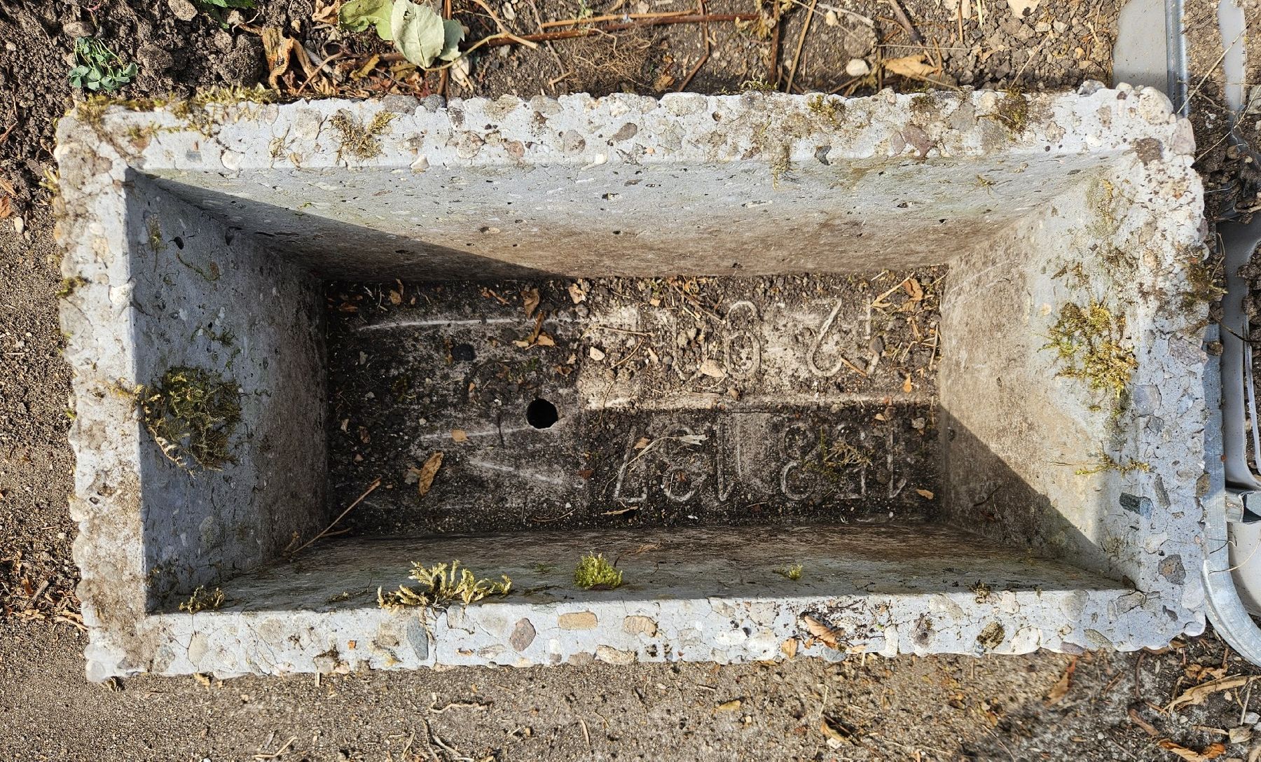 Vasi per fiori: Pflanzentrog – Usato da Villigen venduto da mir_8jrr 1