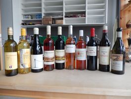 Wein-Mix 10 Flaschen