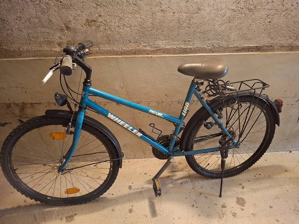 Biciclette: Regalo bicicletta – Usato da Giubiasco venduto da Laretta
