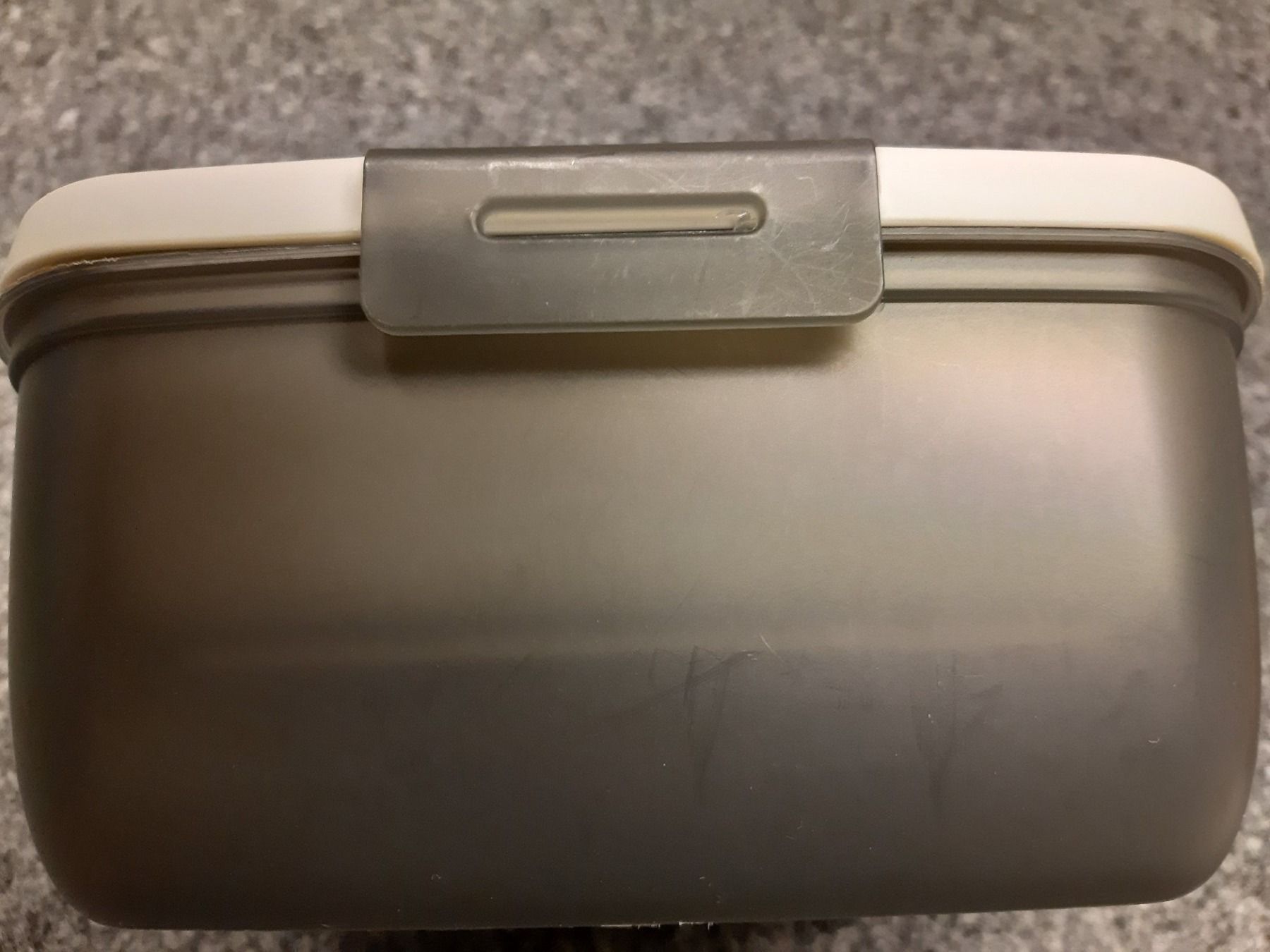 Contenitori & Simili: Lunch Box  1,6 Liter – Usato da Schmitten FR venduto da ReniStern 1