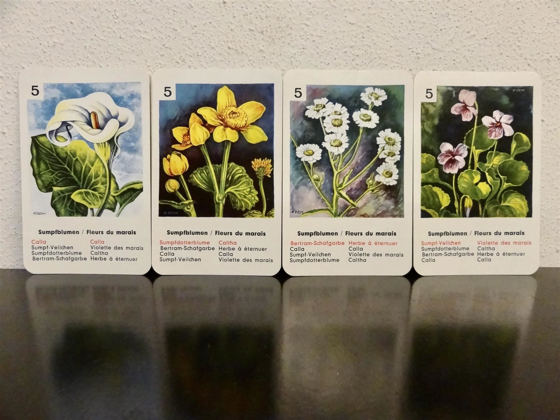 Giochi: altes Quartett BLUMEN-QUARTETT BLUMEN – Usato da Kerzers venduto da wisaundso 5