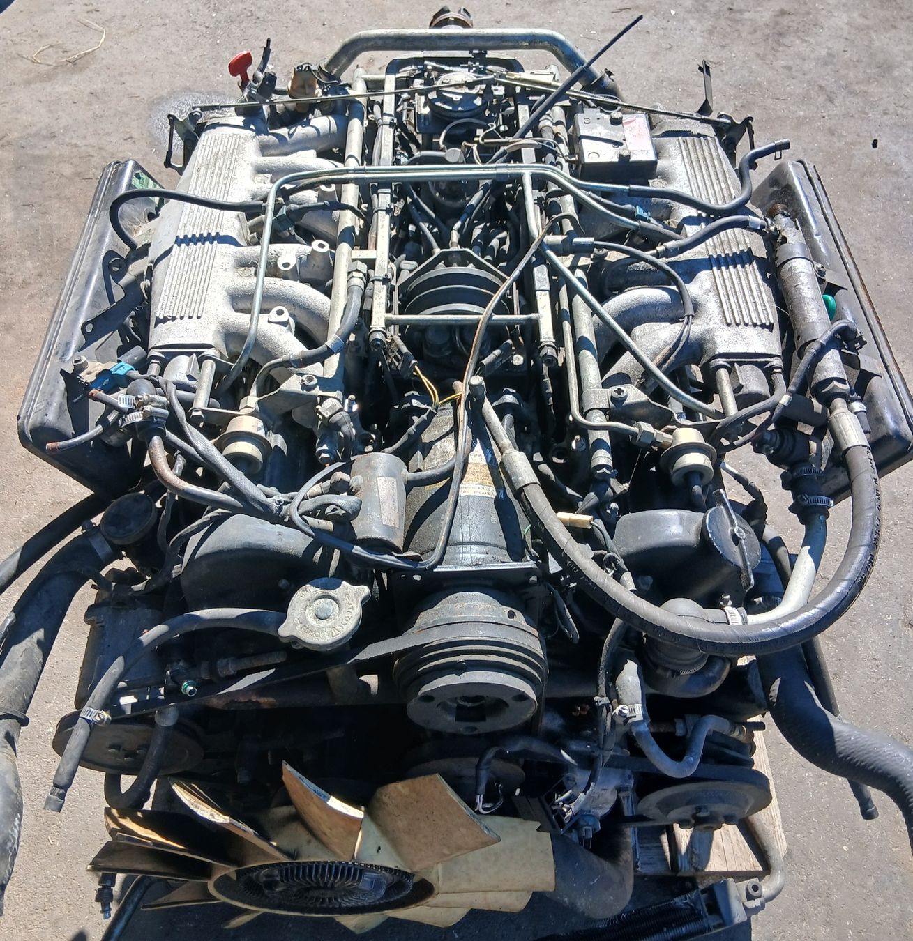 Jaguar Motori: Moteur V12 5.3 Jaguar – Usato da la heutte venduto da Auto-stock 1