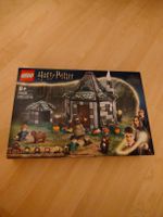 LEGO Hagrids Hut: An unexpected Visit Harry Potter
