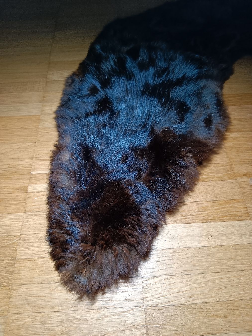 Foulard & Sciarpe: Pelzkragen, Winter Accessoire, Echtpelz – Usato da kölliken venduto da TerryCash 1
