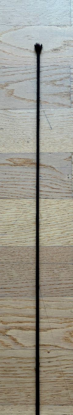 Sonstiges Tierzubehör: Gebrauchte Dressurgerte, Schwarz, 115cm – Gebraucht aus Zürich von tersus1981 2