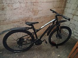 Mountainbike WHEELER
