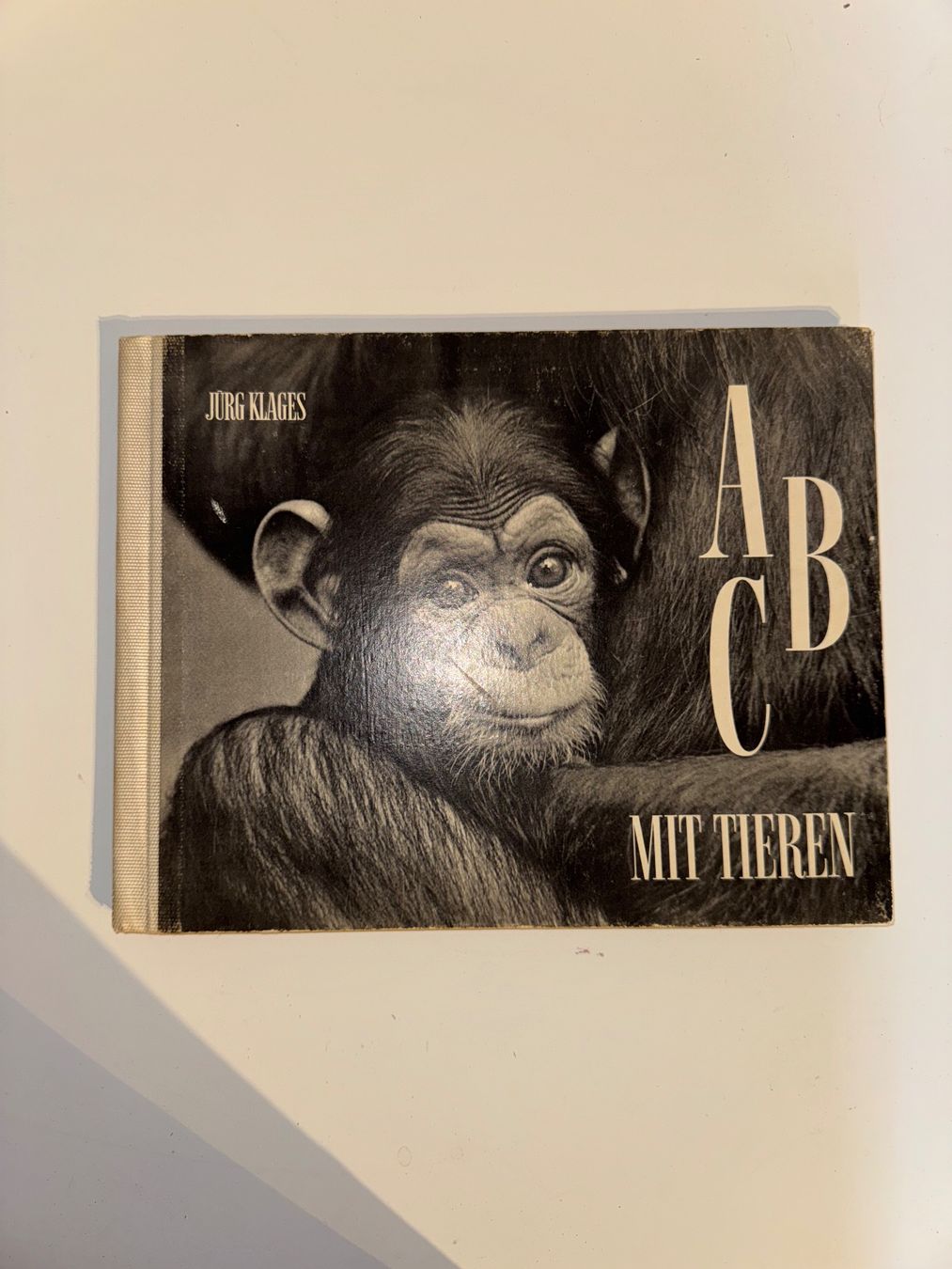 Libri: Buch: ABC mit Tieren – Usato da Grosswangen venduto da Second_hand_paradise