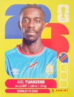 Panini FIFA World Cup COD 4