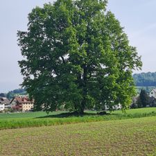 Profile image of jugend
